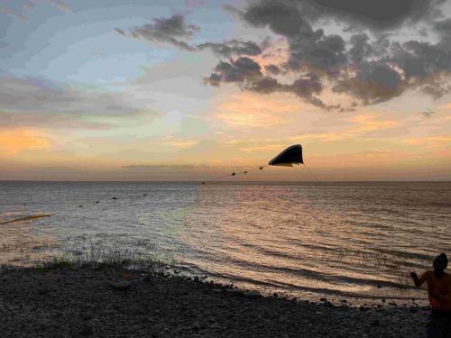 image00043-compressed